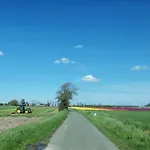 Blank - A Night In The Gallery *