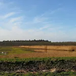 Blank - A Night In The Gallery *