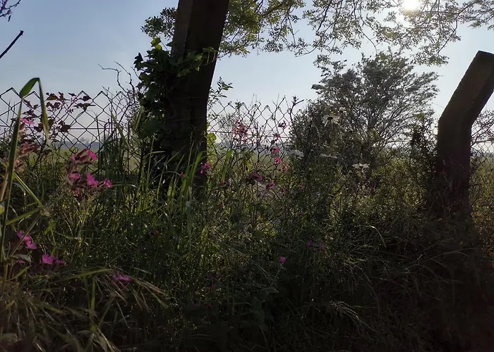 Blank - A Night In The Gallery Lägenhet *