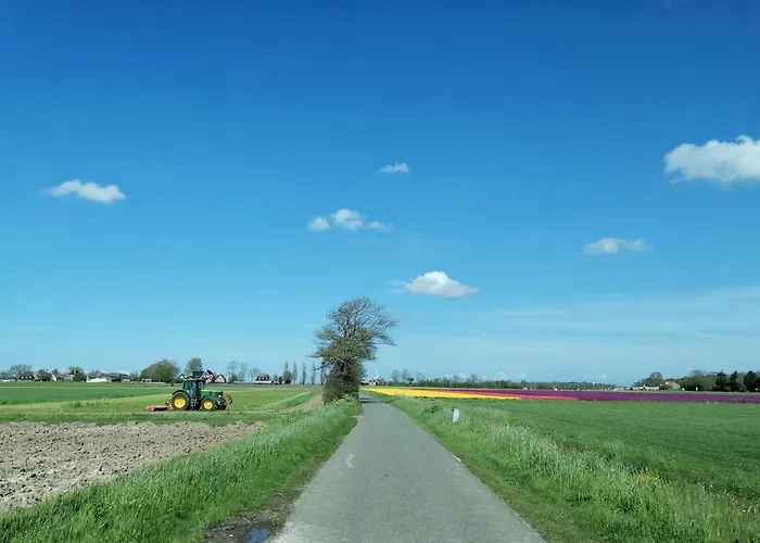 Blank - A Night In The Gallery *