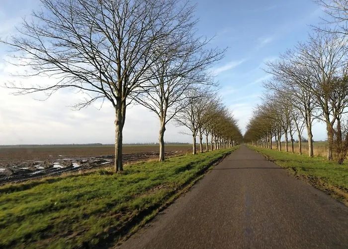 Lägenhet Blank - A Night In The Gallery