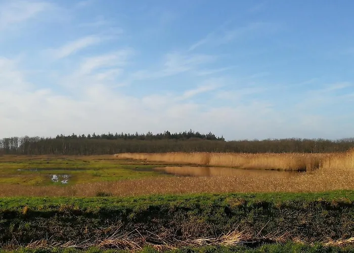 Blank - A Night In The Gallery *