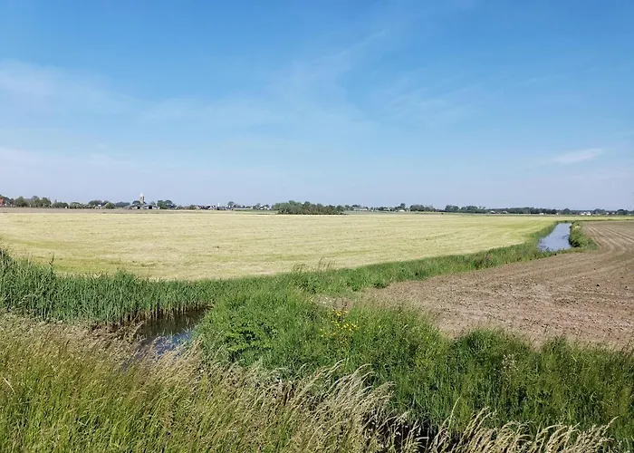 Blank - A Night In The Gallery