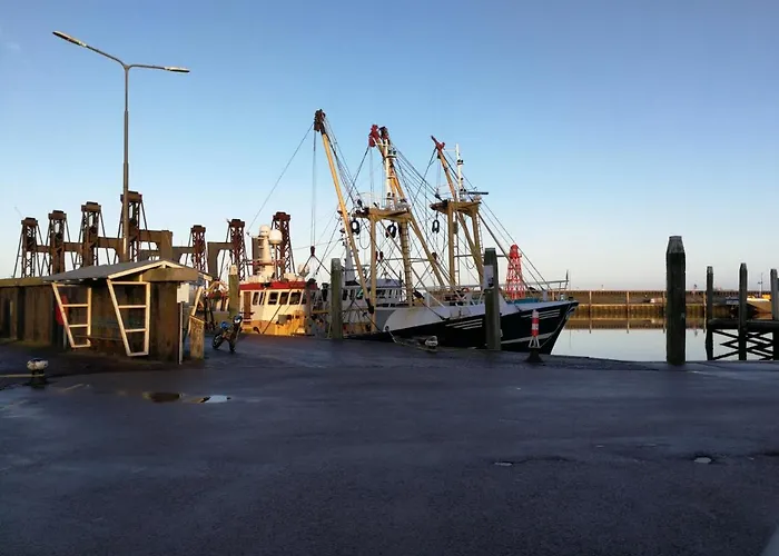 Blank - A Night In The Gallery