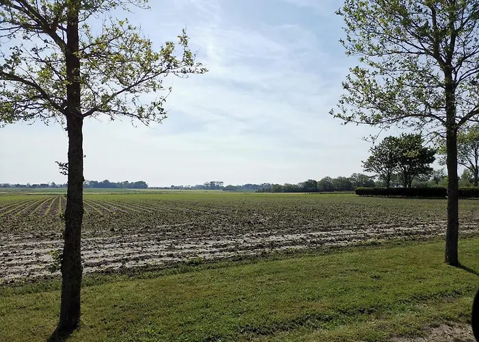 Blank - A Night In The Gallery Lägenhet Den Oever