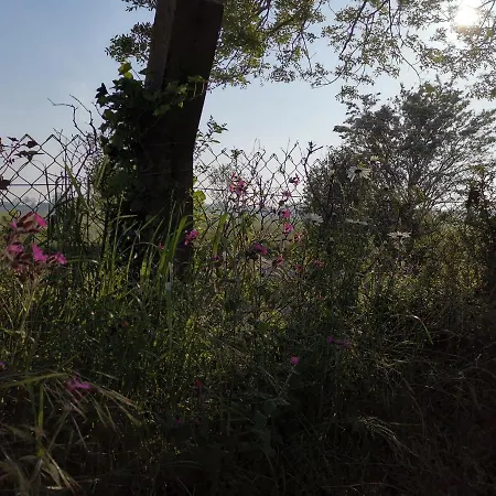 Blank - A Night In The Gallery Appartement *