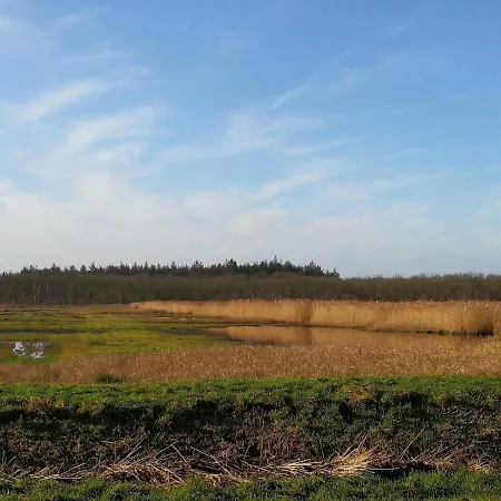 Blank - A Night In The Gallery *