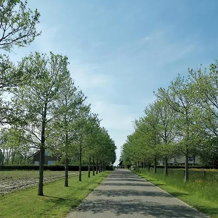 Blank - A Night In The Gallery Appartement *