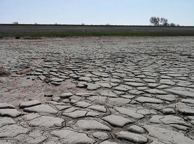 Blank - A Night In The Gallery *